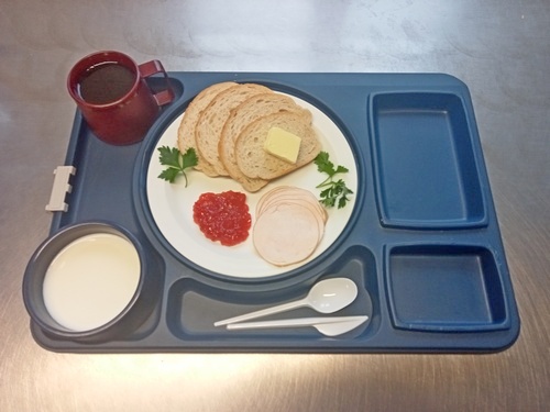 DIETA szynkowa dÄąÄ˝em